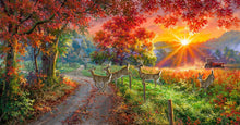 Load image into Gallery viewer, Through the Forest Light Panel Abraham Hunter  20731 Multi