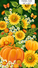 Load image into Gallery viewer, Sunshine Harvest 24" Panel Multi Northcott  #25455-78