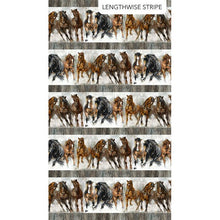 Load image into Gallery viewer, Gray Multi Border Stripe Stallion Northcott DP26811-92