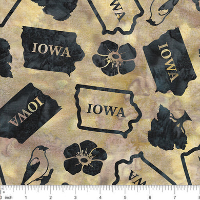 2024 AISH - Iowa Toss Batik Fabric by Island Batiks sold by the Yard 
