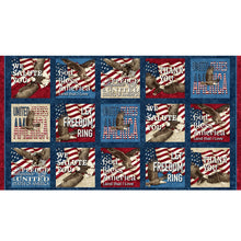 Load image into Gallery viewer, Stonehenge Stars & Stripes 12 27011-49 Panel by Linda Ludovico