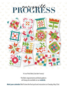 RBD 2023 Block  16 - Coming Together  Free Pattern Download