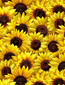 Timeless Treasures - Packed Sunflowers Fleur - C1134 YELLOW