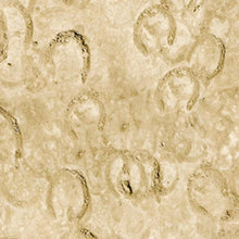 Load image into Gallery viewer, Spirited Hoof Texture Tan Northcott 24644-14