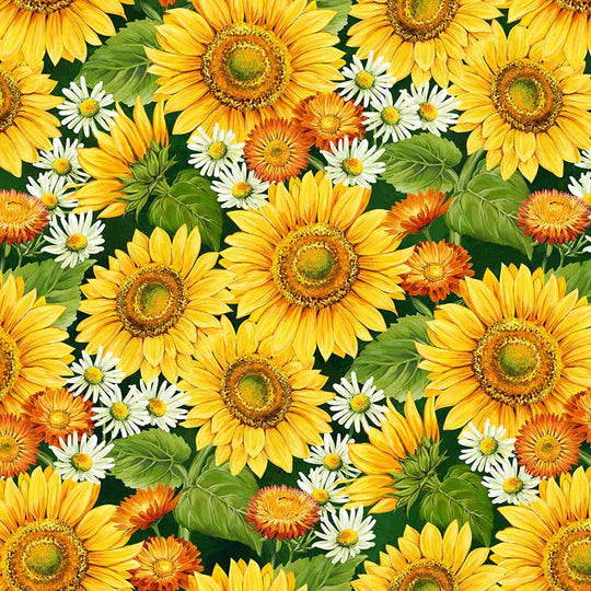 Sunshine Harvest Sunflowers & Daisies Multi Northcott  #25456-78
