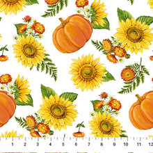 Load image into Gallery viewer, Sunshine Harvest Flower Pumpkin Toss Multi Northcott   #25457-10