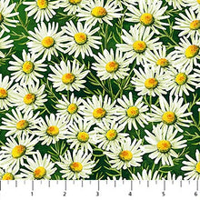 Load image into Gallery viewer, Sunshine Harvest Daisies Green Northcott  #25458-78
