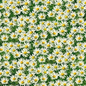 Sunshine Harvest Daisies Green Northcott  #25458-78