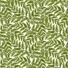 Load image into Gallery viewer, Sunshine Harvest Ferns White Northcott #25459-10