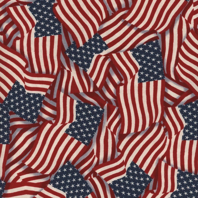 Stars of Valor 30084-314 Multi by Beth Grove for Wilmington Prints