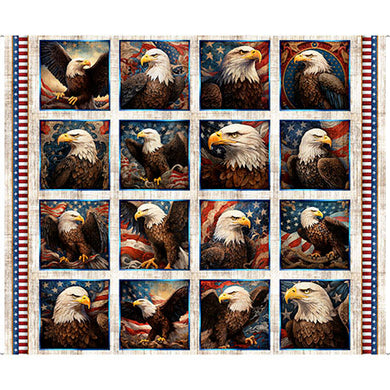 QT - 1776   EAGLE PICTURE PATCHES  31660 -E