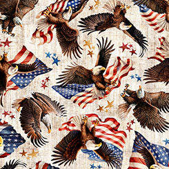 QT - 1776   AMERICAN EAGLE & FLAG TOSS    31661 -E