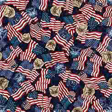 Load image into Gallery viewer, QT - 1776   AMERICAN FLAGS &amp; 250 CREST  31662 -N