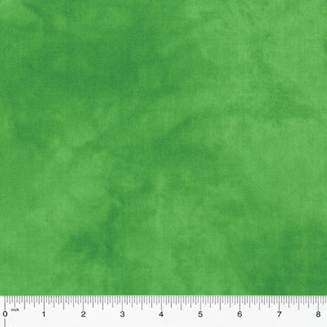 2025 AISH - All Iowa Shop Hop 2025 Palette Grass Fabric 37098=36