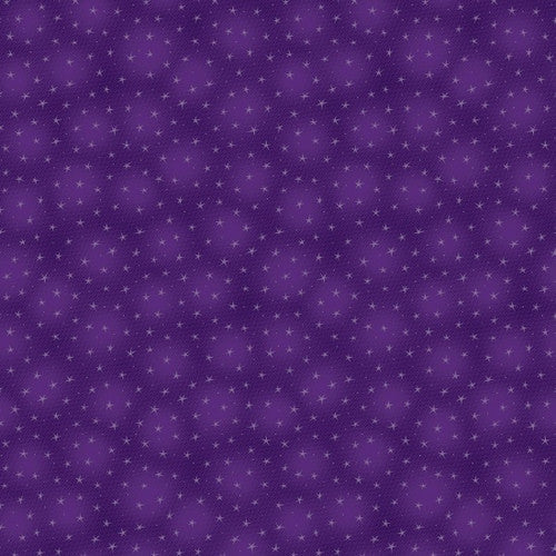 Starlet 6383-Purple  by Blank Quilting