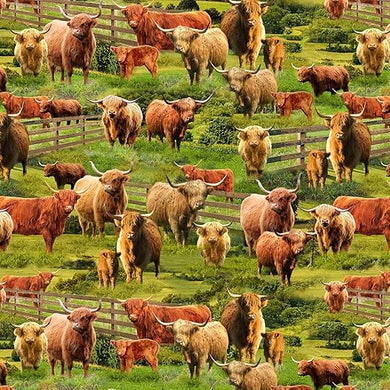 Timeless Treasures Highland Cows Multi FARM-CD3076