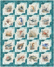 Load image into Gallery viewer, Book - Panel Pizzazz 3-Yard Quilts # FC032643