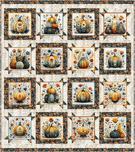 Load image into Gallery viewer, Book - Panel Pizzazz 3-Yard Quilts # FC032643