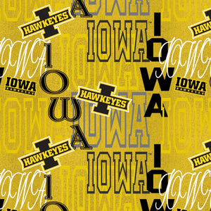 Official Licensed University of Iowa Hawkeyes Letters - IA1372