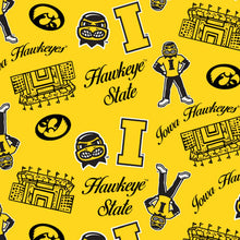 Load image into Gallery viewer, UNIVERSITY OF IOWA -Mini Stadium Logo Design - IA1389