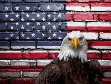 American Pride Panel 25in x 18.5in # MISC-022