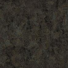 Load image into Gallery viewer, Pedigree by Elisa Genest Black   DP28028-99