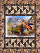 Load image into Gallery viewer, Pattern - In Flight # QR1138