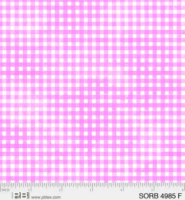 Sorbet  4985 F