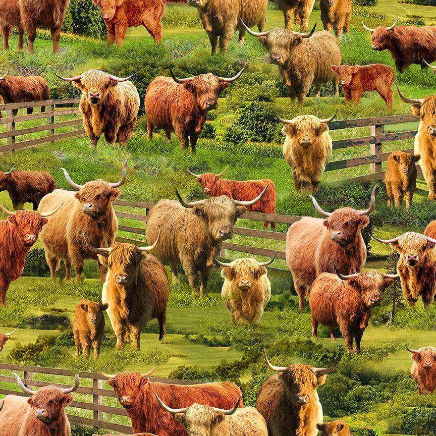 Timeless Treasures Highland Cows Multi FARM-CD3076 – K&K Logo