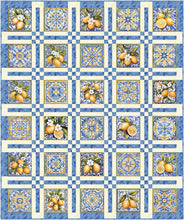 Load image into Gallery viewer, Book - Panel Pizzazz 3-Yard Quilts # FC032643