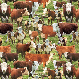 Timeless Treasures Fabric Hereford Cows In Corral West-CD3341 Multi