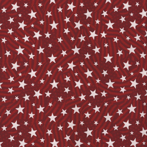Stars of Valor 30089-331 Red by Beth Grove for Wilmington Prints