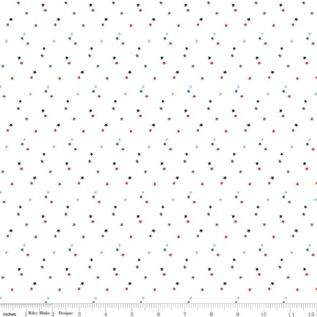 C657-WHITE Stars by Christopher Thompson for Riley Blake Designs
