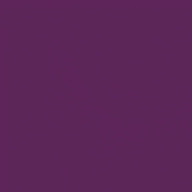 Tula Pink Designer Essentials Plum Solid   CSFSESS