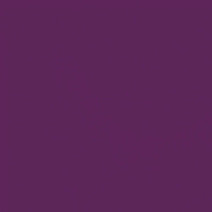 Tula Pink Designer Essentials Plum Solid   CSFSESS