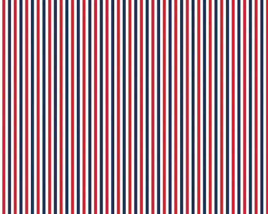 Stripes C495-PATRIOTIC by Riley Blake
