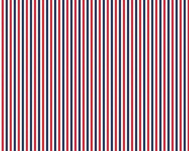 Stripes C495-PATRIOTIC by Riley Blake