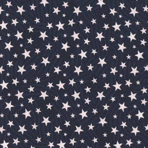 Stars of Valor 30089-441 Navy by Beth Grove for Wilmington Prints