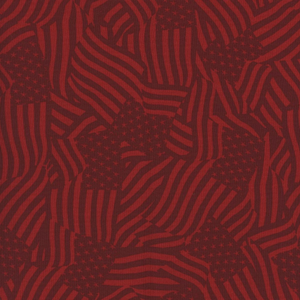 Stars of Valor 30091-333 Red by Beth Grove for Wilmington Prints
