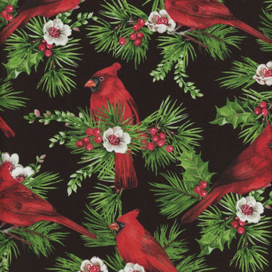 Cardinal Christmas 25481-99 by Deborah Edwards from Northcott Fabrics
