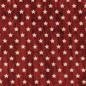Stonehenge Stars & Stripes 11 25344-24 Red by Linda Ludovico for Northcott Fabrics