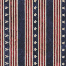 Load image into Gallery viewer, Stars &amp; Stripes 13 - Stonehenge 27883-12 Beige Multi for Northcott