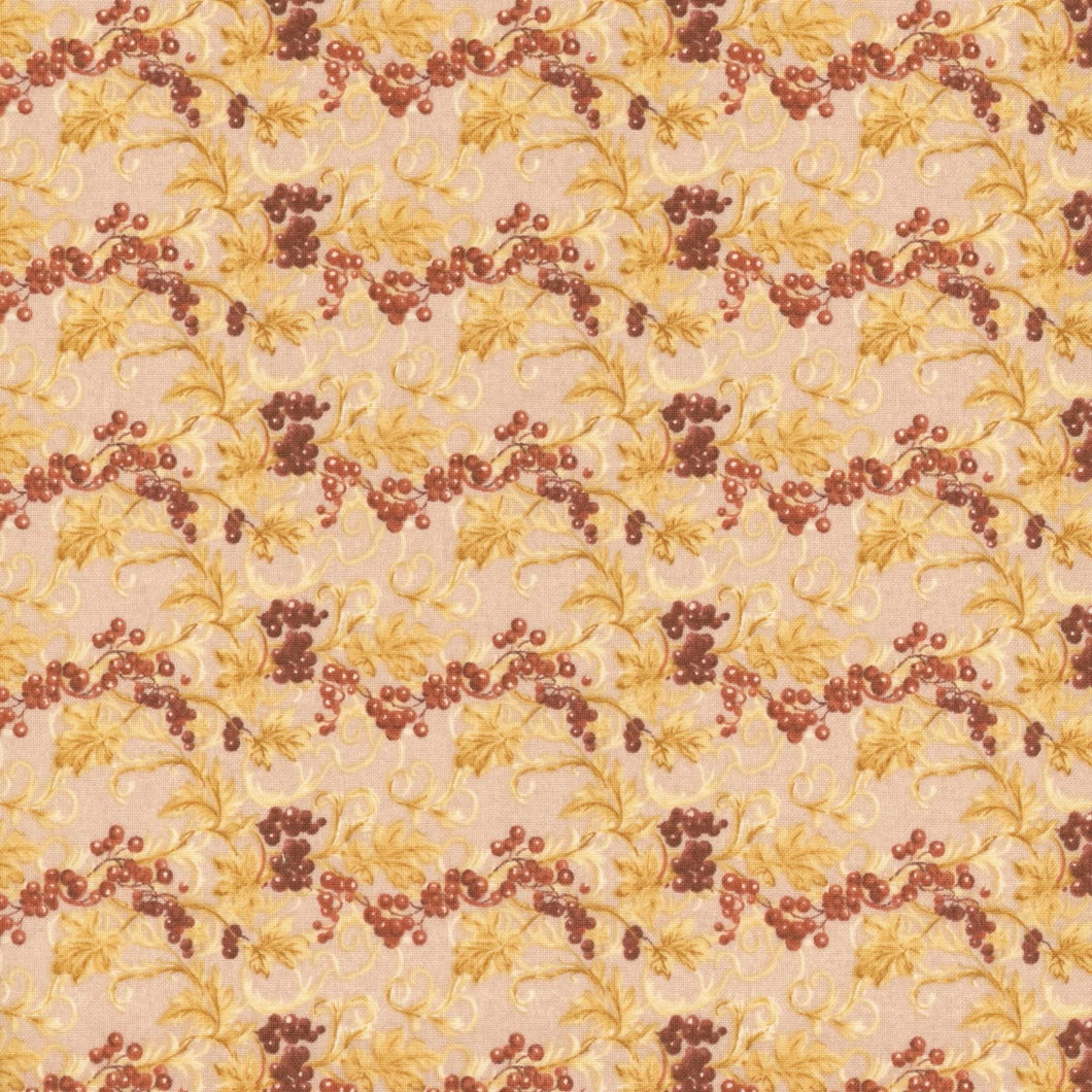 Evening on the Prairie C16742-BLUSH by Modern Prairie