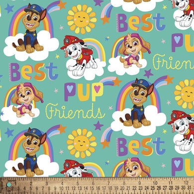 Paw Patrol Best Pup Friends   DAV-PW44432C1