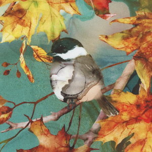 Autumn Breeze DP28055-66 Panel Teal Multi by Northcott Fabrics