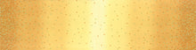 Load image into Gallery viewer, Ombre Confetti Metallic - Honey  #10807 219M