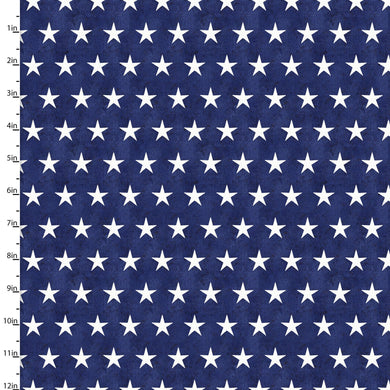 3 Wishes American Spirit by Beth Albert 16064 Navy Stars