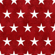 Load image into Gallery viewer, 3 Wishes American Spirit by Beth Albert 16064 Red Stars