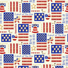 Load image into Gallery viewer, Land of the Free Cream Patch Yardage # 1833-47  Henry Glass