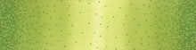 Load image into Gallery viewer, Ombre Confetti Metallic - Lime Green  #10807 18M